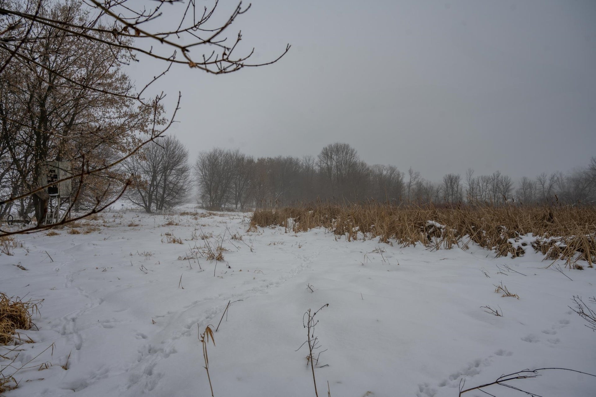 W10802 Blackhawk Trail, Fox Lake, WI 53933