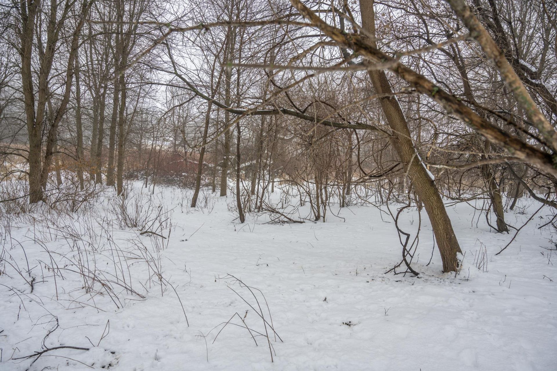 W10802 Blackhawk Trail, Fox Lake, WI 53933