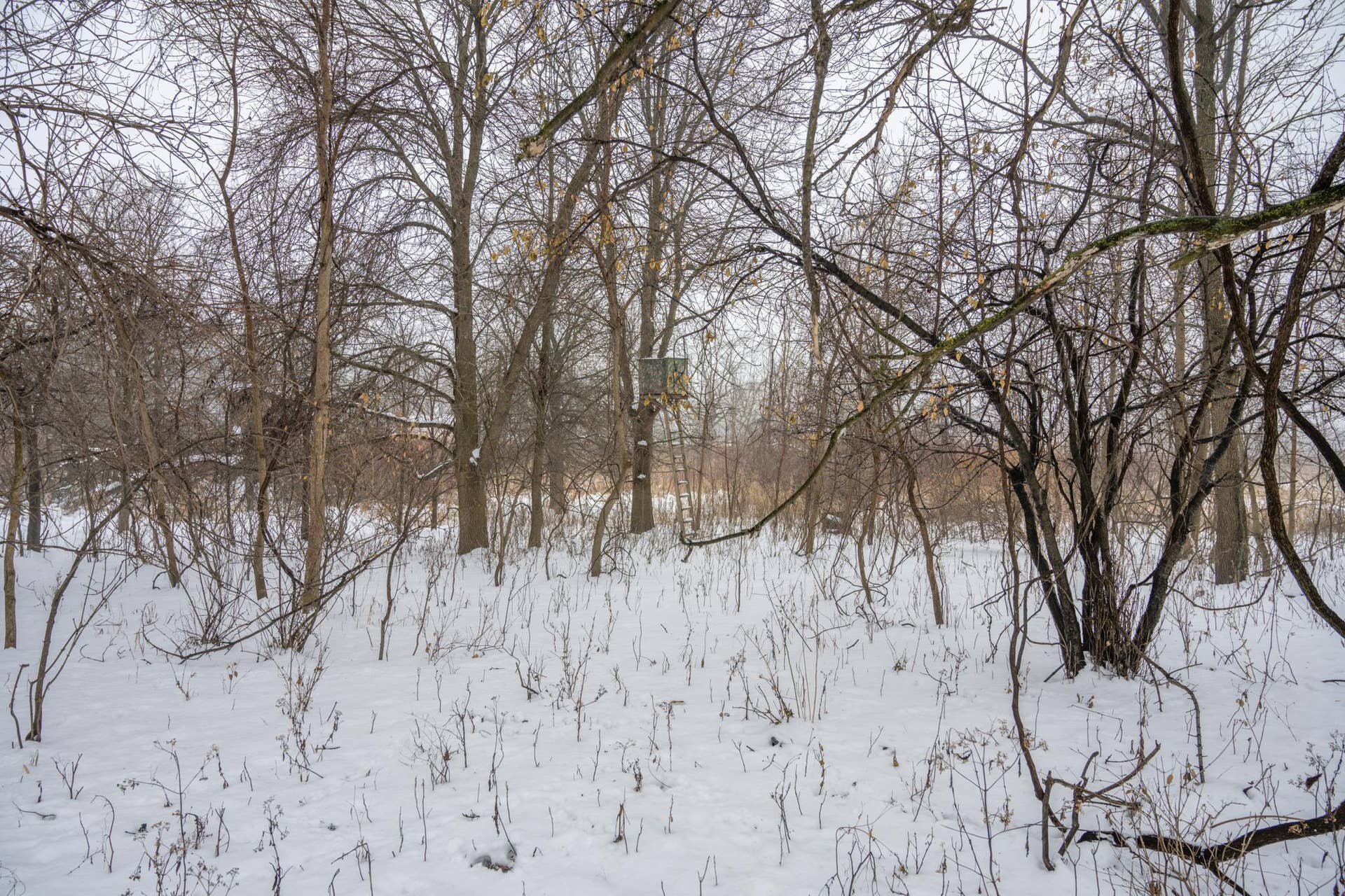 W10802 Blackhawk Trail, Fox Lake, WI 53933