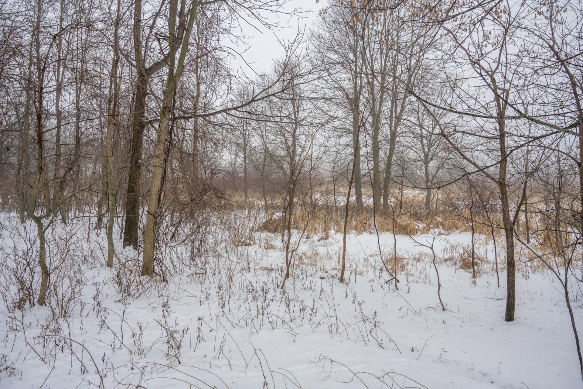 W10802 Blackhawk Trail, Fox Lake, WI 53933