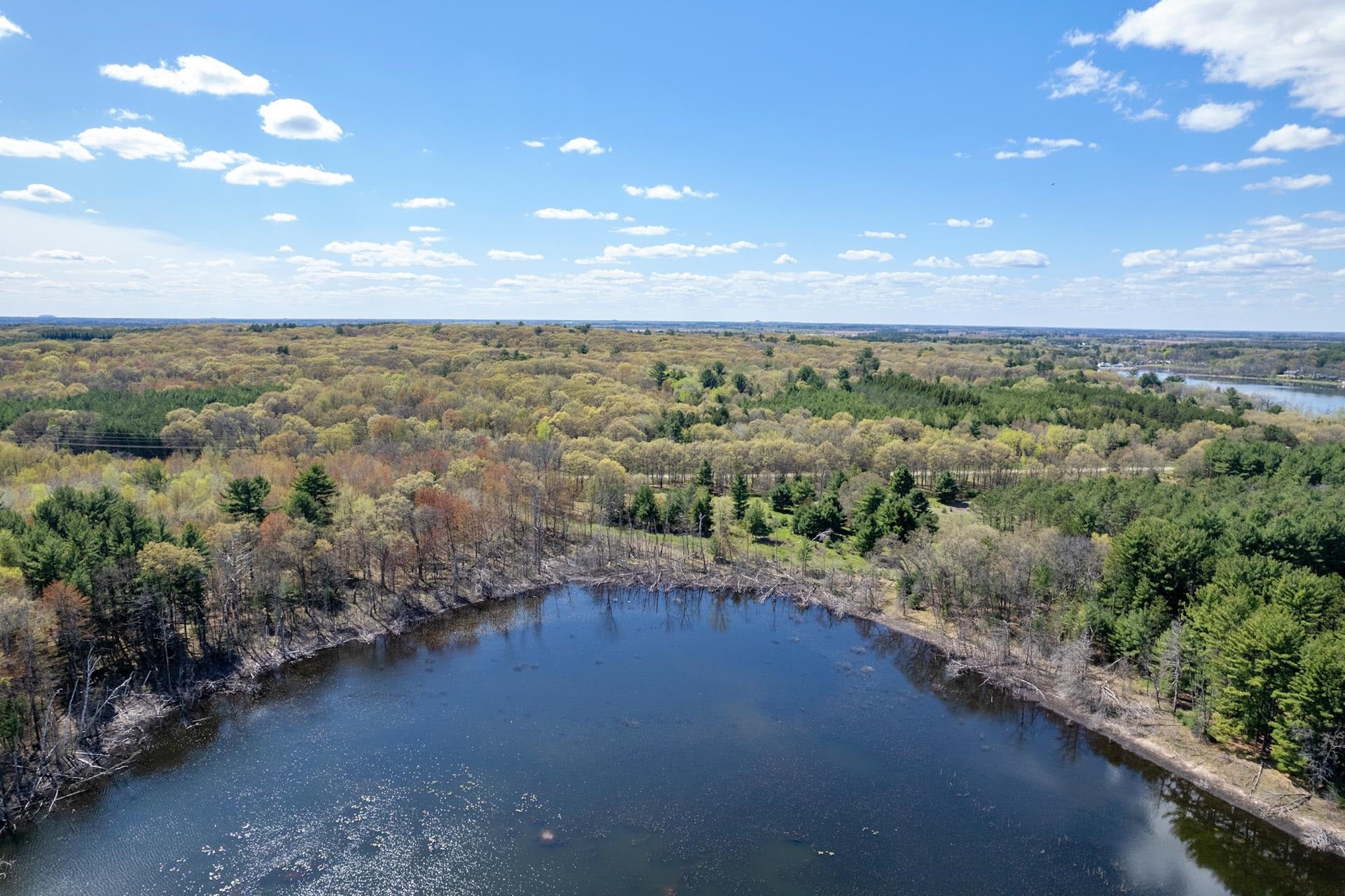 79.95 AC County Road Ff, Hancock, WI 54943