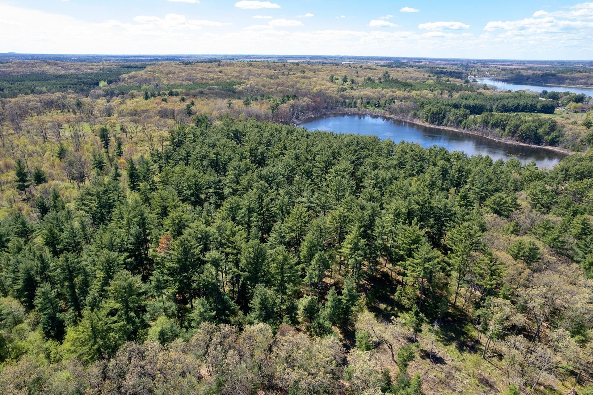 79.95 AC County Road Ff, Hancock, WI 54943