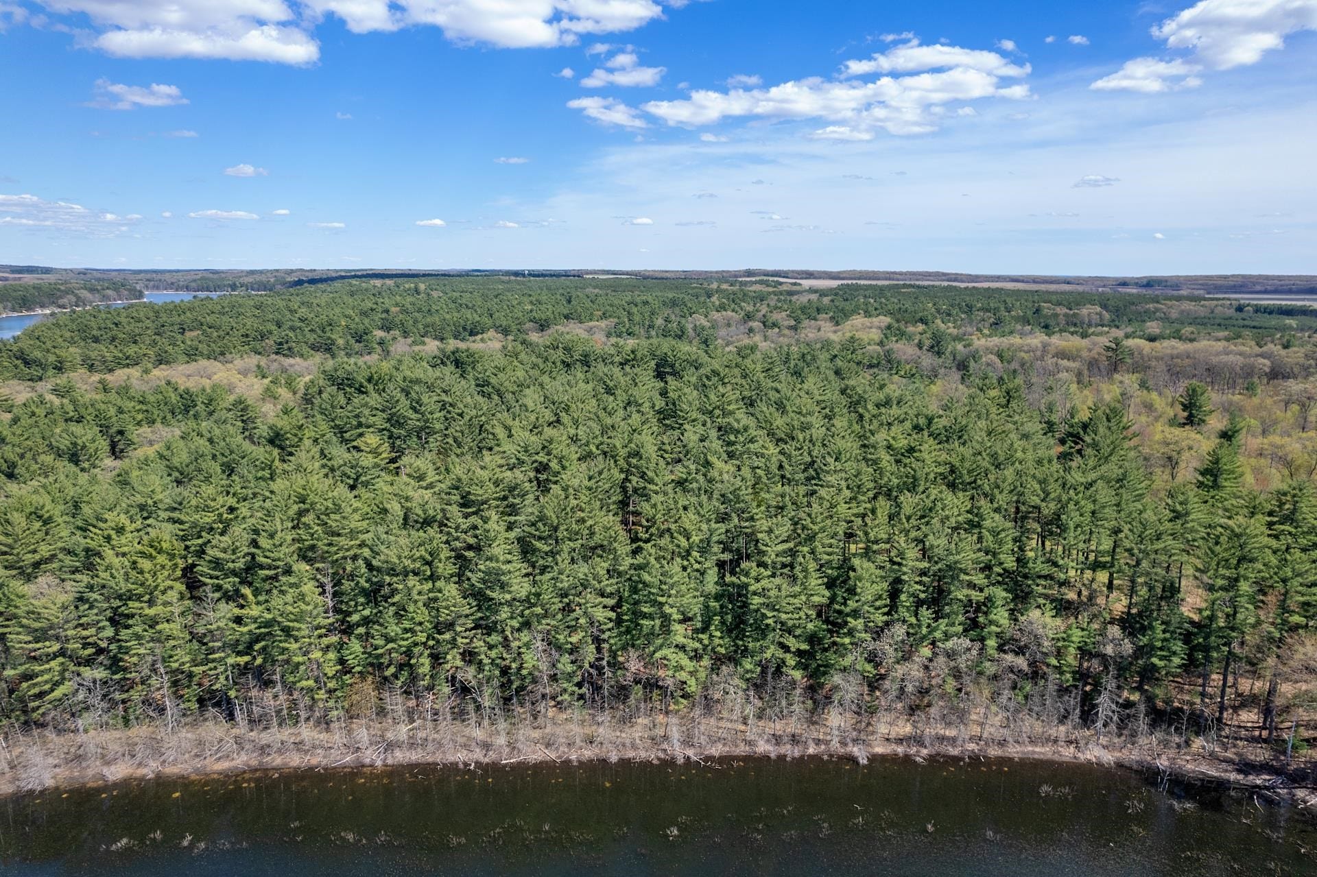 49.79 AC Forest Drive, Hancock, WI 54943
